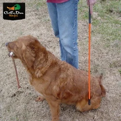 AVERY OUTDOORS SPORTING DOG TRAINER'S HEELING STICK