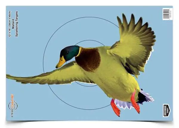 BC PREGAME DUCK 12X18 TGT 8/PK