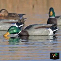 AVERY OUTDOORS GHG PRO-GRADE MALLARD DECOYS - FEEDER PACK