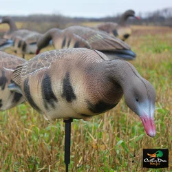 WHITE ROCK COLLAPSIBLE FULL BODY SPECKLEBELLY GOOSE DECOYS 6-PACK W/ STAKES
