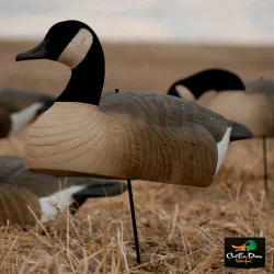 AVERY OUTDOORS GHG ESSENTIAL SERIES CANADA GOOSE SHELLS - DOZEN