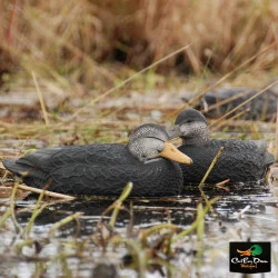 AVERY OUTDOORS GHG OVER-SIZE BLACK DUCK DECOYS - 1/2 DOZEN