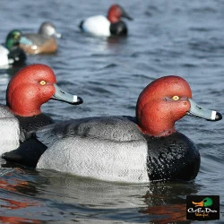 AVERY OUTDOORS GHG FOAM FILLED OVER-SIZE REDHEAD DUCK DECOYS - 1/2 DOZEN