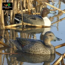 AVERY OUTDOORS GHG LIFE-SIZE PINTAIL DUCK DECOYS - 1/2 DOZEN