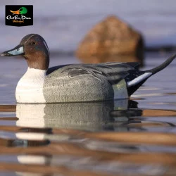 AVERY OUTDOORS GHG LIFE-SIZE PINTAIL DRAKE DUCK DECOYS - 1/2 DOZEN