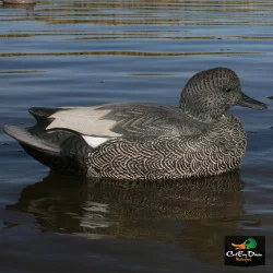 AVERY OUTDOORS GHG LIFE-SIZE GADWALL DUCK DECOYS - 1/2 DOZEN