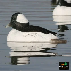 AVERY OUTDOORS GHG OVER-SIZE BUFFLEHEAD DUCK DECOYS - 1/2 DOZEN