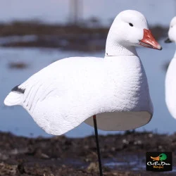 AVERY OUTDOORS GHG PRO-GRADE SNOW GOOSE SHELLS - ACTIVE PACK DOZEN