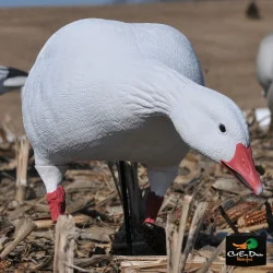AVERY OUTDOORS GHG PRO-GRADE FULL BODY SNOW GOOSE DECOYS - FEEDER PACK