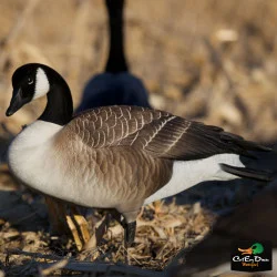 AVERY OUTDOORS GREENHEAD GEAR GHG COMMERCIAL GRADE FULL BODY HONKERS - ACTIVE PACK