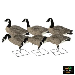 AVERY OUTDOORS GHG PRO GRADE XD SERIES CANADA GOOSE DECOYS - HARVESTER PACK