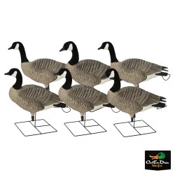 AVERY OUTDOORS GHG PRO GRADE XD SERIES CANADA GOOSE DECOYS - ACTIVE PACK