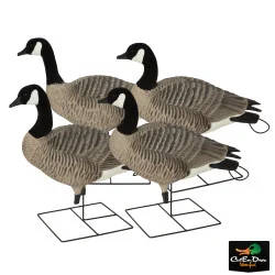 AVERY OUTDOORS GREENHEAD GEAR GHG PRO GRADE XD CANADA GOOSE FULL BODY DECOYS - ACTIVE PACK