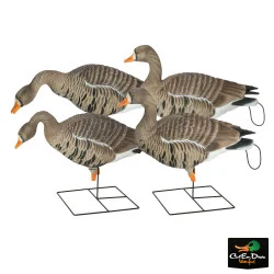 AVERY OUTDOORS GREENHEAD GEAR GHG PRO GRADE XD SPECKLEBELLY GOOSE FULL BODY DECOYS - HARVESTER PACK