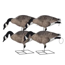 Avery GHG XD FFD Full Body Canada Goose Decoys - Feeder Pack