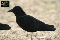 AVERY OUTDOORS GHG FFD ELITE CROW DECOY - LOOKOUT