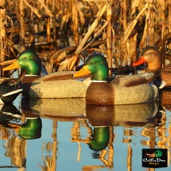 AVERY OUTDOORS GHG PRO-GRADE MALLARD DECOYS - ACTIVE PACK