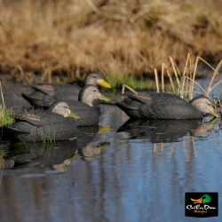 AVERY OUTDOORS GHG PRO-GRADE BLACK DUCK DECOYS -HARVESTER PACK