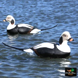 AVERY OUTDOORS GHG COMMERCIAL GRADE LONG-TAILED DUCK DECOYS - 6 PACK