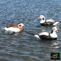 AVERY OUTDOORS GHG PRO-GRADE LONG-TAILED DUCK DECOYS - 6 PACK