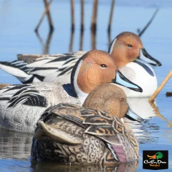 AVERY OUTDOORS GHG PRO GRADE XD SERIES PINTAIL DUCK DECOYS HARVESTER 6 PACK