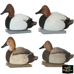AVERY OUTDOORS GHG PRO GRADE FOAM FILLED CANVASBACK DECOYS