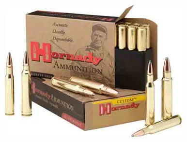 Hornady .405 Winchester Custom 300gr JSP Ammo