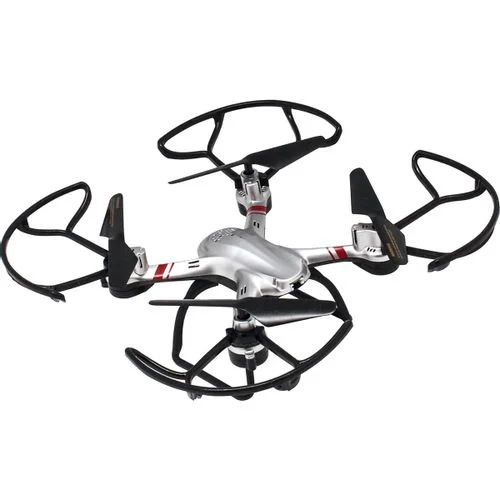 DGL Quadrone Sparrow