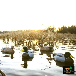 TANGLEFREE MIGRATION EDITION MALLARD DECOYS DRAKE COMOBO PACK - FLOCKED HEADS AND TAILS