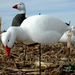 AVERY OUTDOORS GHG PRO-GRADE SNOW GOOSE SHELLS - FEEDER PACK 12