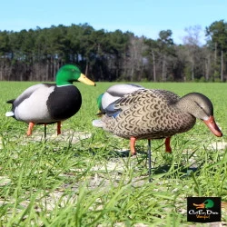 AVERY OUTDOORS GHG FFD ELITE FULL BODY MALLARDS - HARVESTER 6 PACK