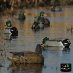 AVERY OUTDOORS GHG PRO-GRADE MALLARD DECOYS -HARVESTER PACK