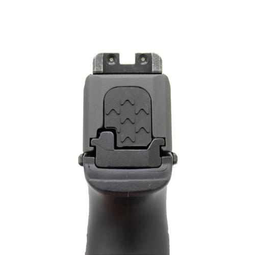 Slide Plate for Sig 365 Models