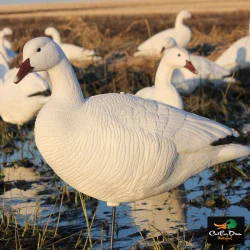WHITE ROCK COLLAPSIBLE FULL BODY SNOW GOOSE DECOY - 6 PACK