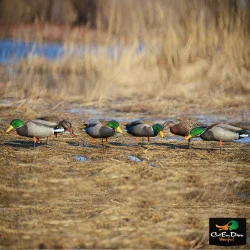 AVERY GREENHEAD GEAR GHG PRO-GRADE FULL BODY FEEDER MALLARDS - FLOCKED HEADS