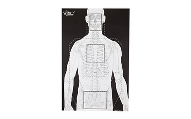 Viking Tactics Advanced Training Target 100ct